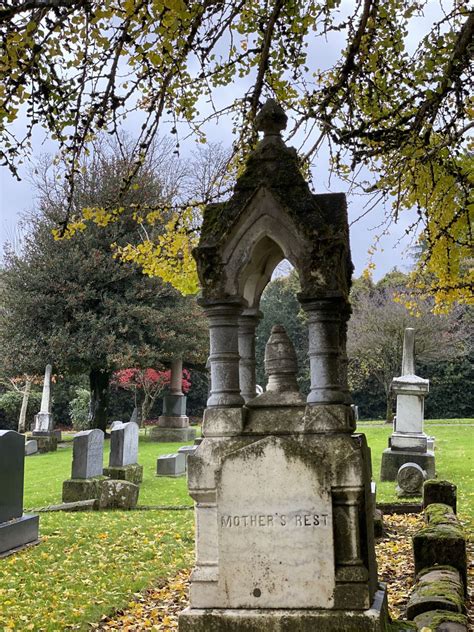 The Witch Cemetery near Me: A Gateway to the Supernatural